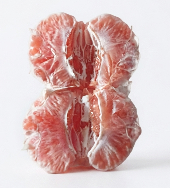 Grapefruits